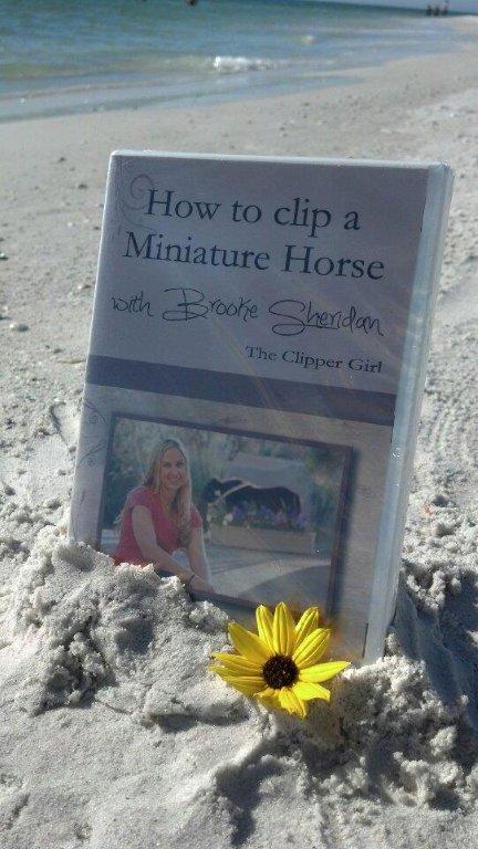 "How to Clip a Miniature Horse" - DVD by Brooke The Clipper Girl